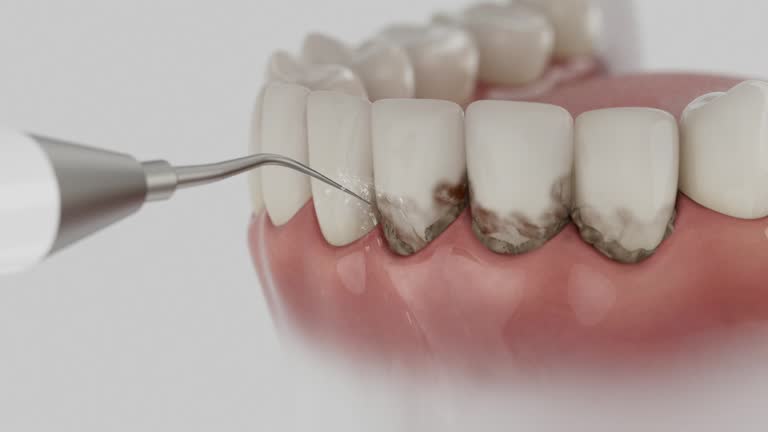 Reliable Dental contractor in Verona Walk, FL by Dentist Open Now